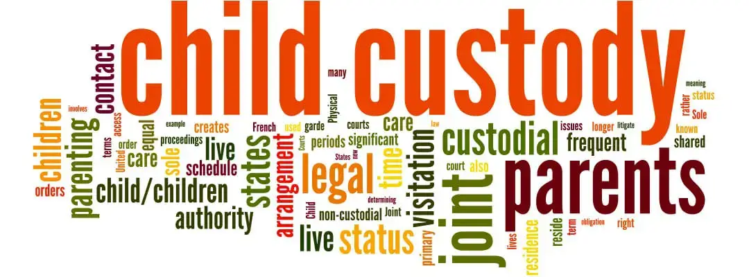 child custody marion illinois